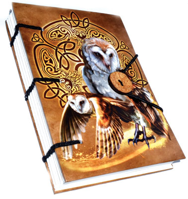 Celtic Owl journal 4 1/2" x 6 1/2" handmade parchment - Click Image to Close