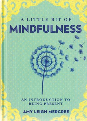 Little Bit of Mindfulness (hc) by Amy Leigh Mercree - Click Image to Close