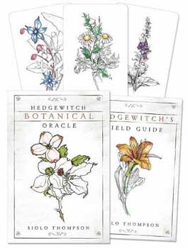 Hedgewitch Botanical oracle - Click Image to Close