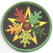 Oak Leaf Pentagram iron-on patch 3" - Click Image to Close